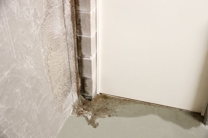 Basement Seepage Repair in Tampa, FL